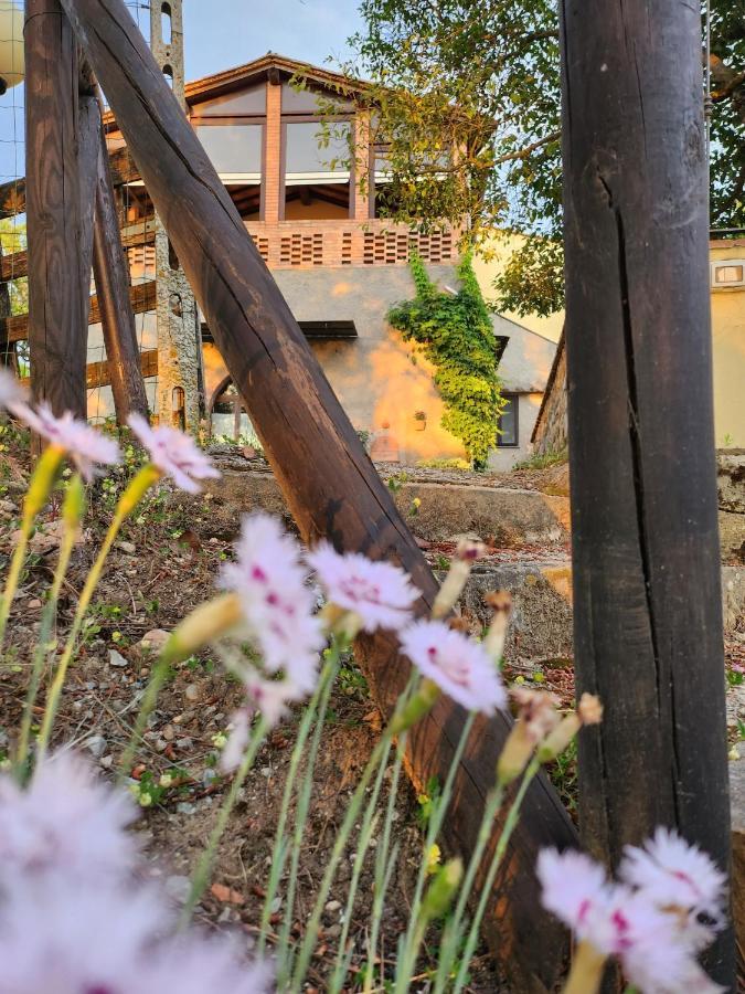Bed and Breakfast Il Giuggiolo - La Collina Della Quiete Certaldo Exterior foto